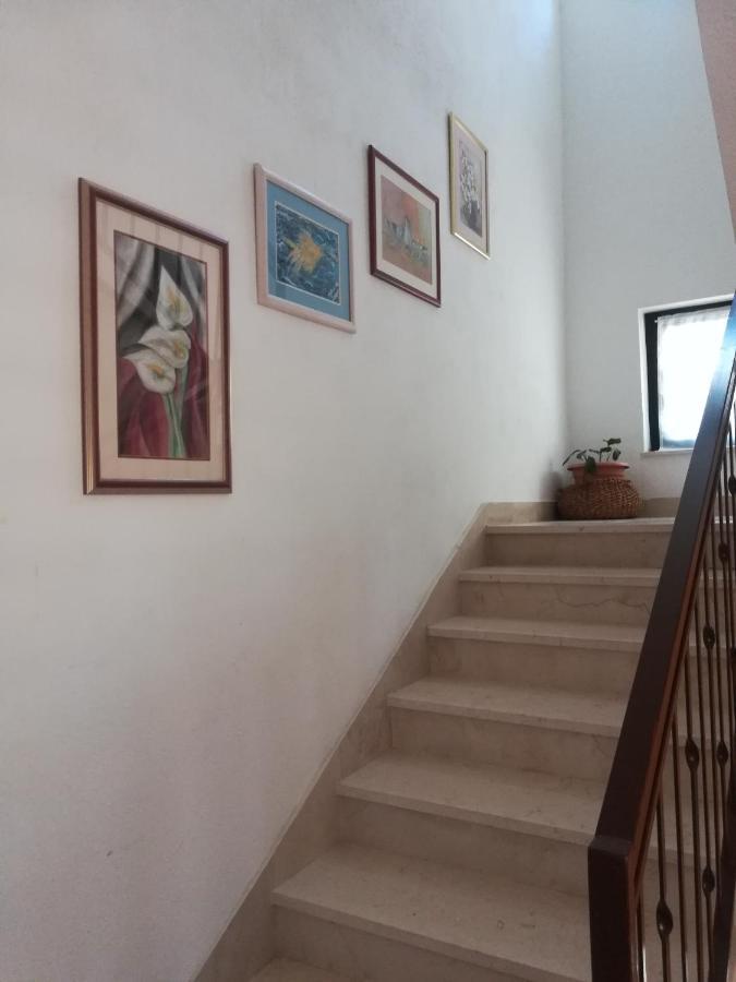 Apartments Tamara Lokva Rogoznica Kültér fotó